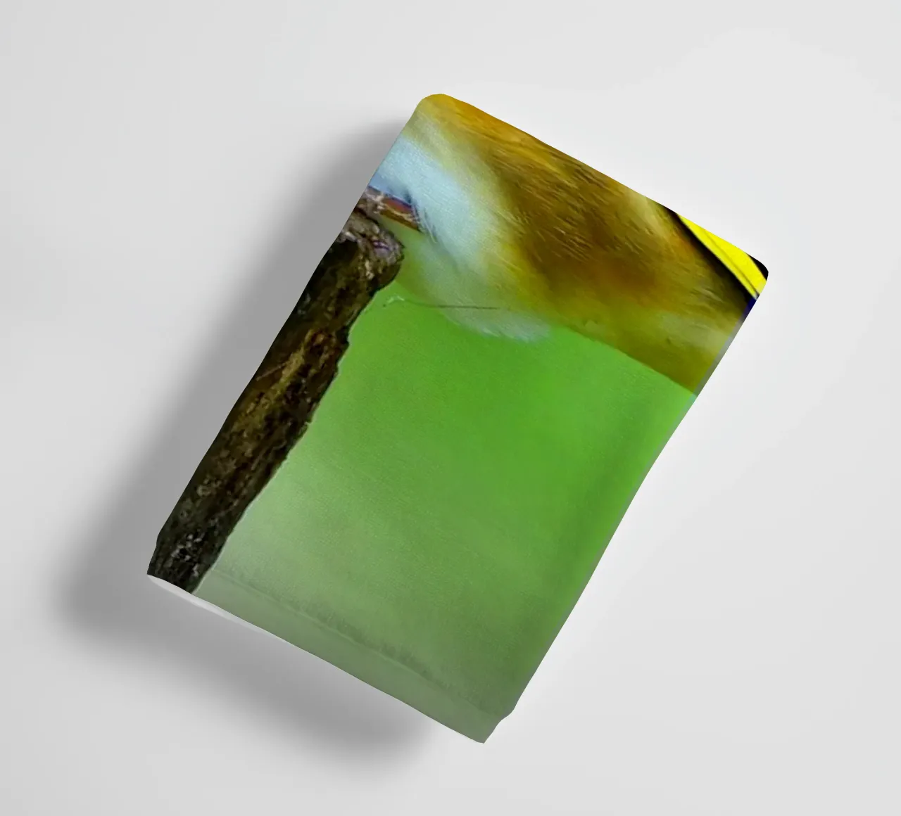 FAA212 towel by Thierry vobmann photography