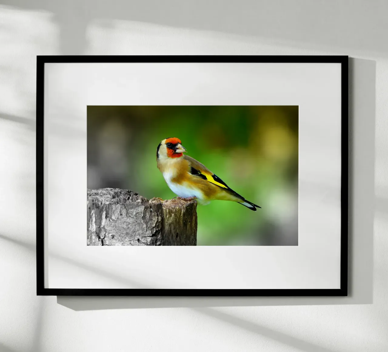 FAA212 poster da Thierry vobmann photography