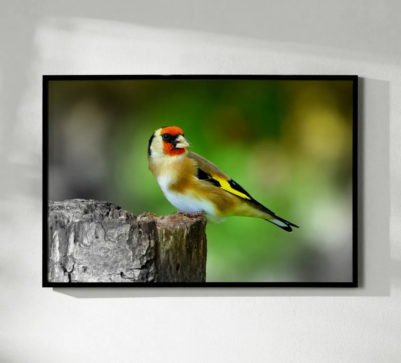 FAA212 poster da Thierry vobmann photography