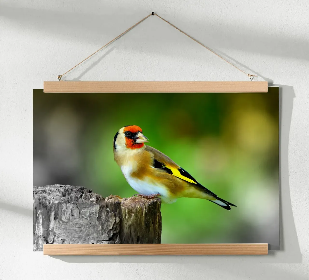 FAA212 poster da Thierry vobmann photography