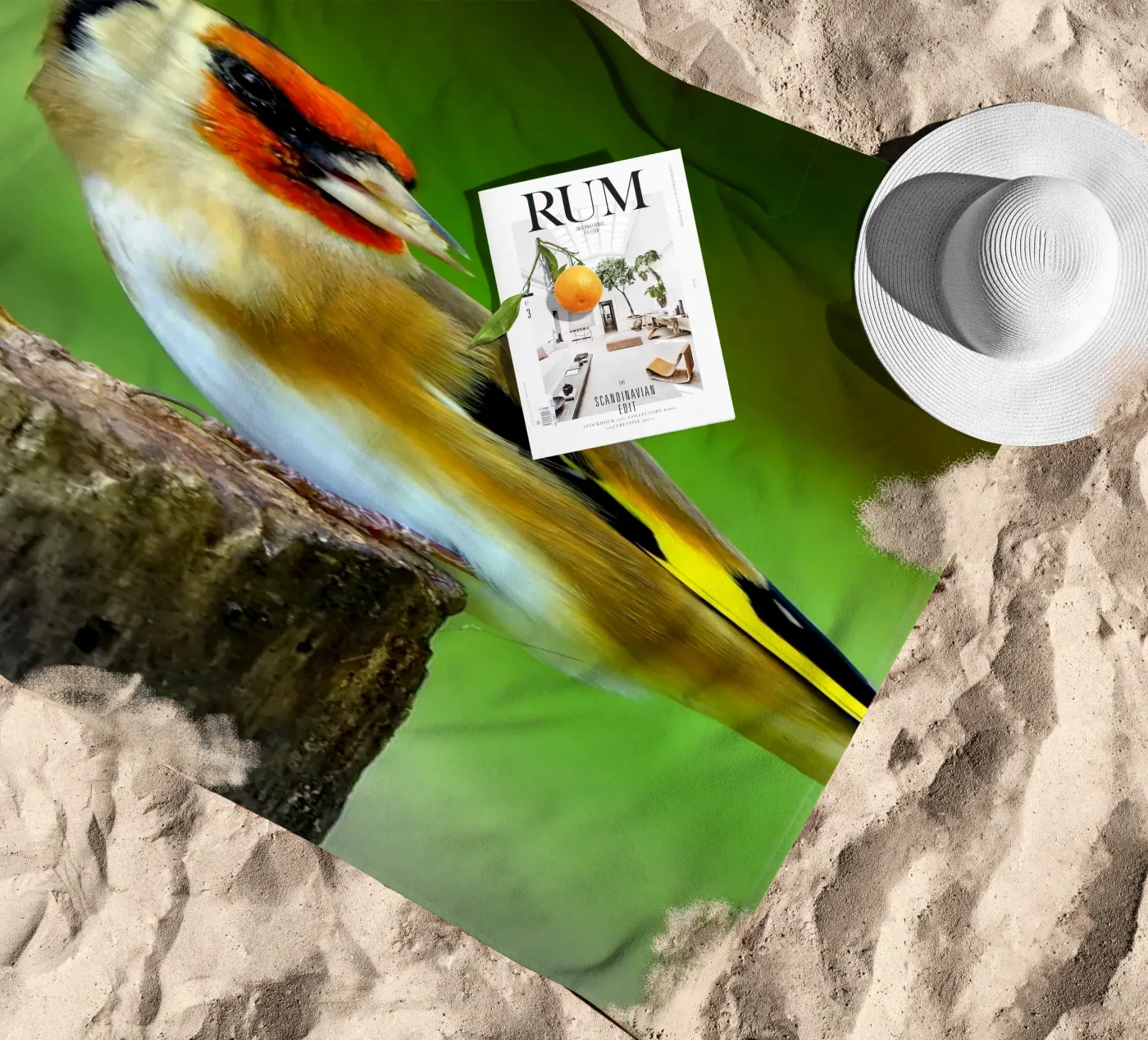 FAA212 telo mare da Thierry vobmann photography