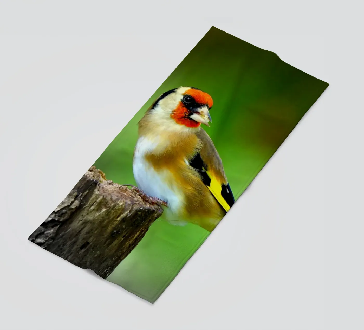 FAA212 telo mare da Thierry vobmann photography