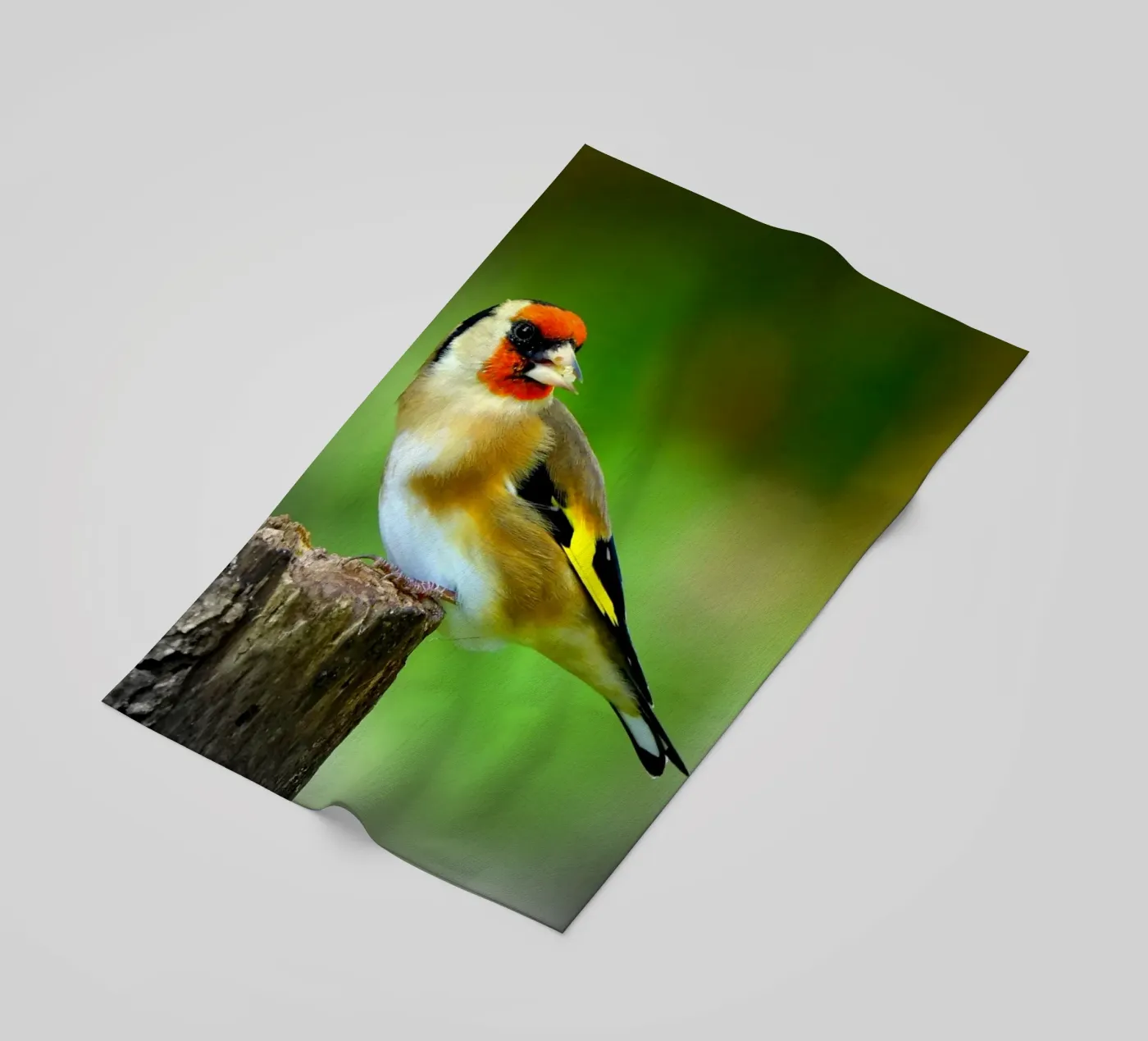 FAA212 telo mare da Thierry vobmann photography