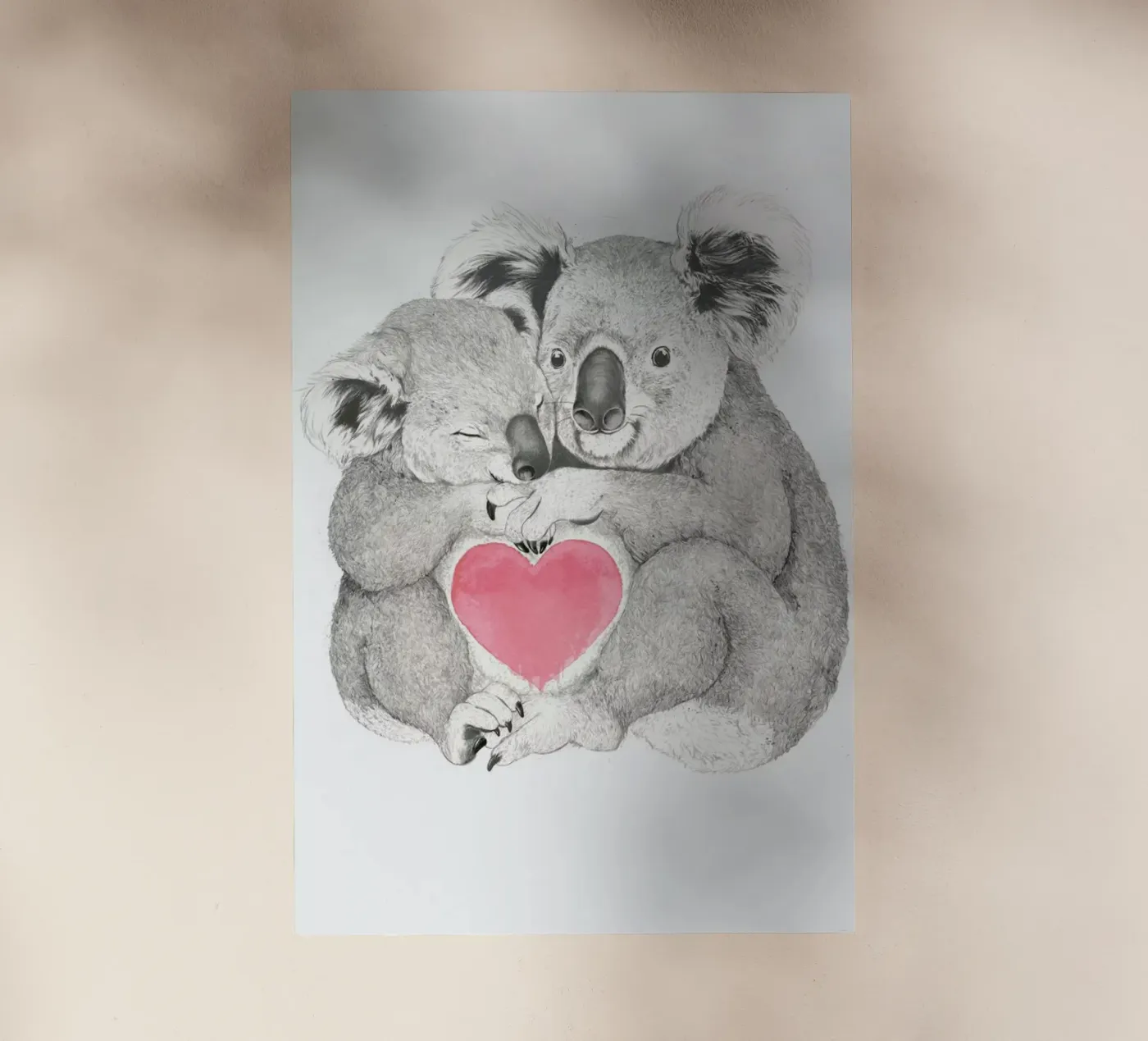 Koala pellicola backlit da Laura Graves