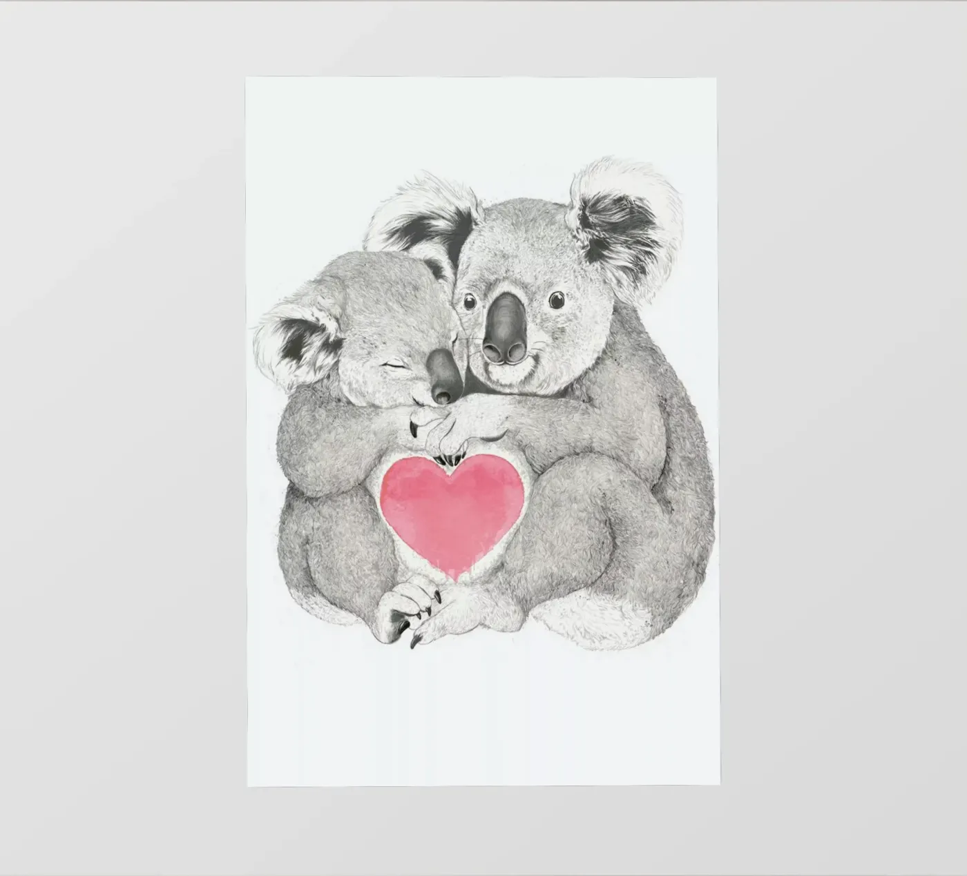 Koala pellicola backlit da Laura Graves