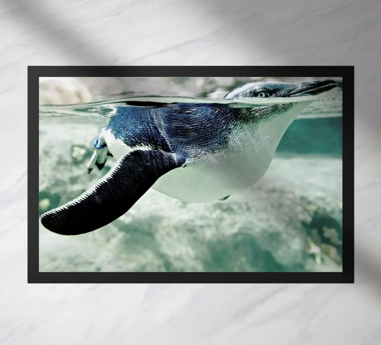 Pingu zerbino da Charlotte Curd