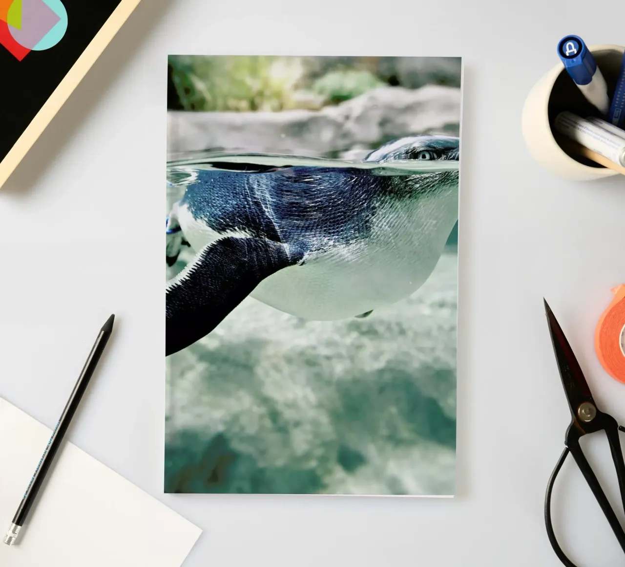 Pingu notebook by Charlotte Curd