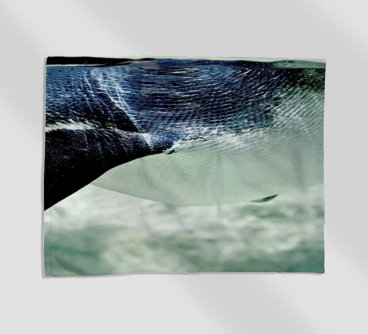 Pingu telo mare da Charlotte Curd