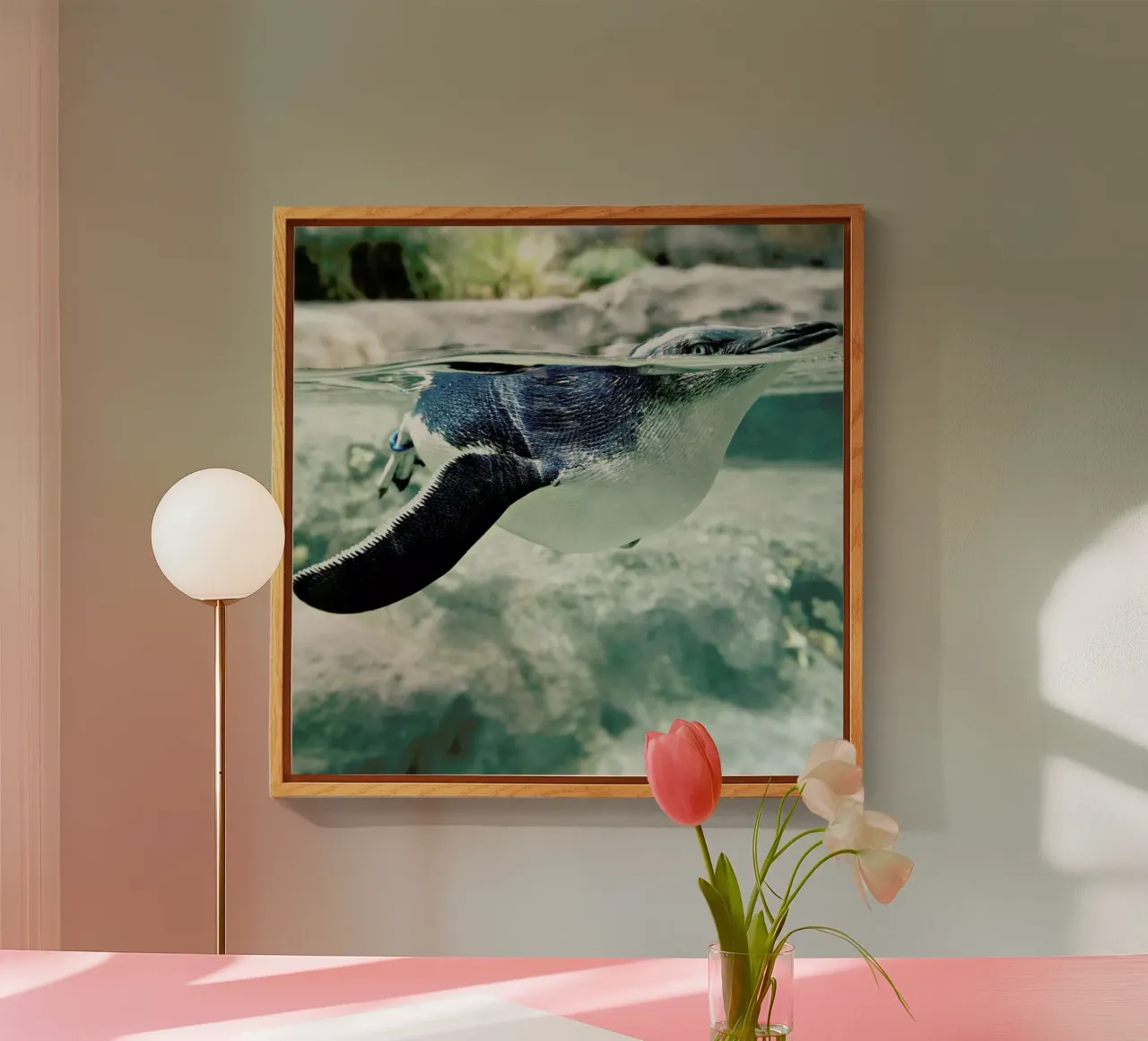 Pingu plexiglass da Charlotte Curd