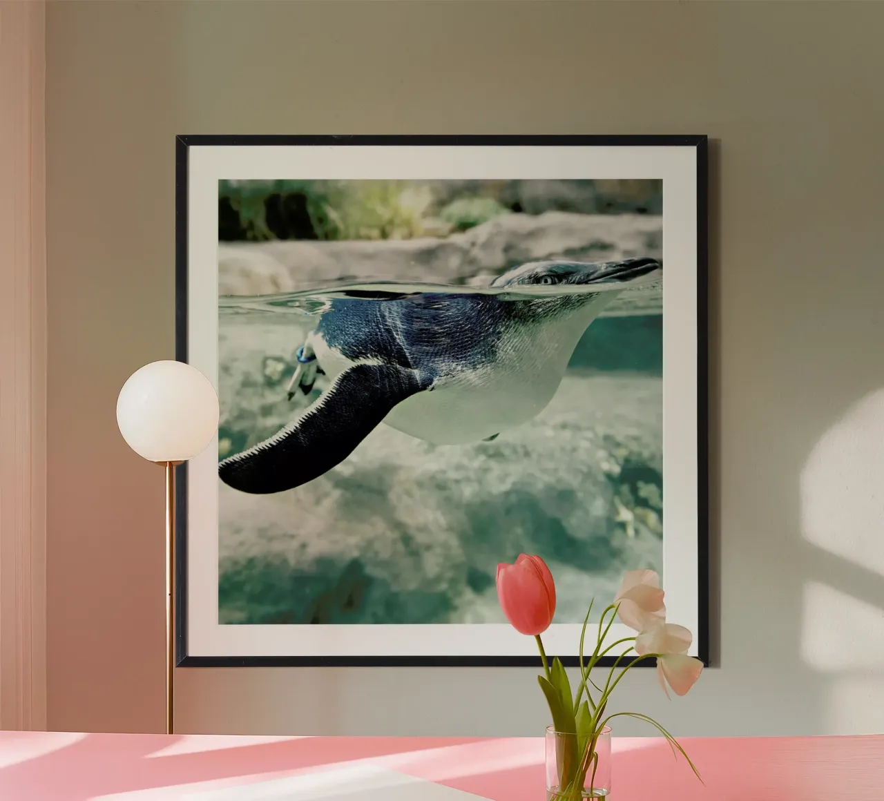 Pingu poster da Charlotte Curd