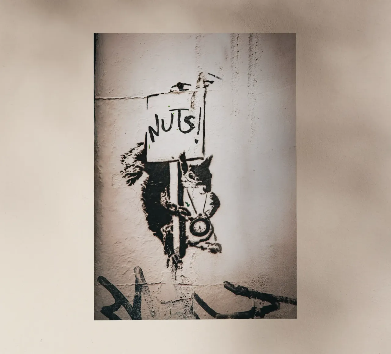 Nuts pellicola backlit da Jonas Klein