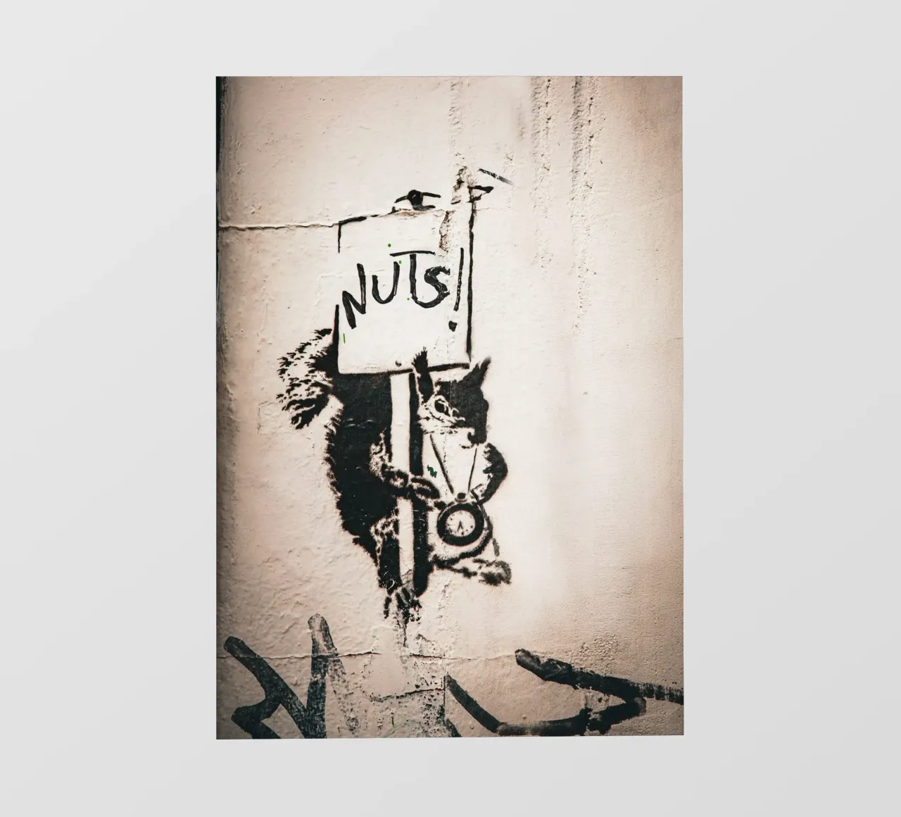Nuts telo in pvc da Jonas Klein