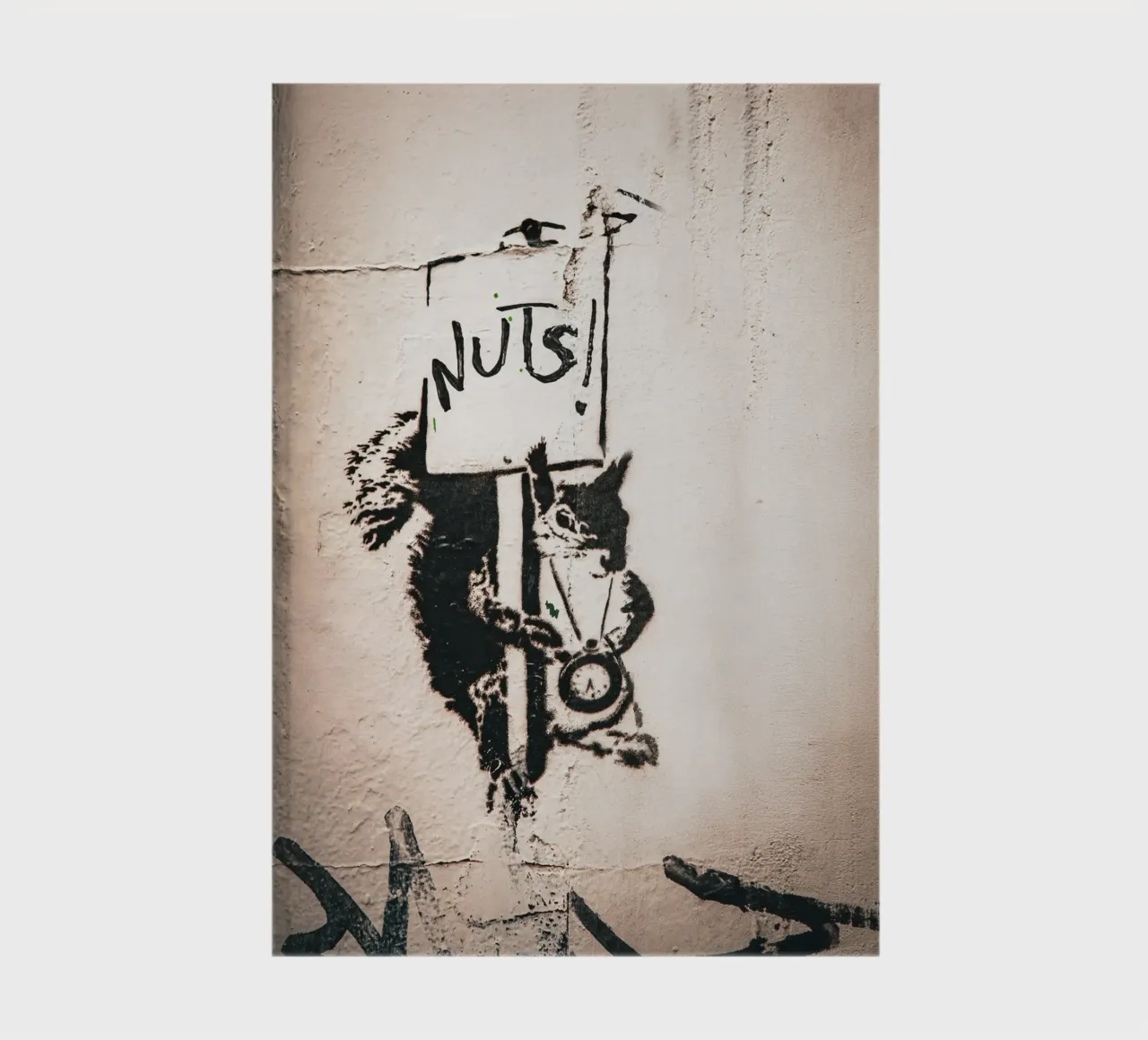 Nuts notebook by Jonas Klein