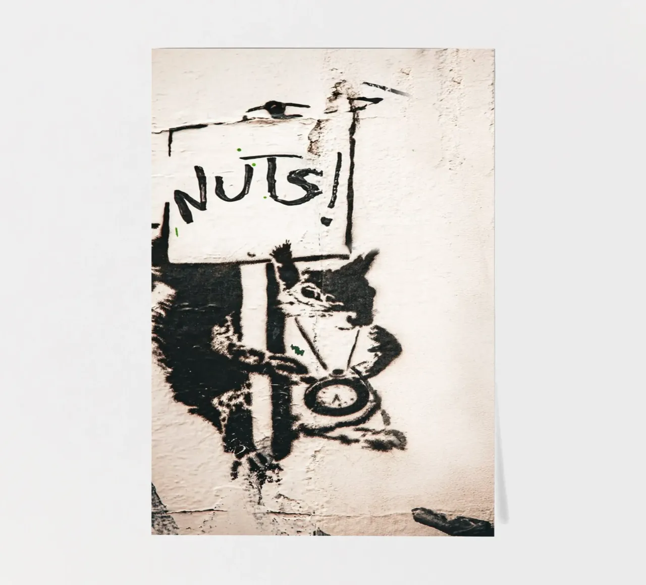 Nuts sticker sheet by Jonas Klein