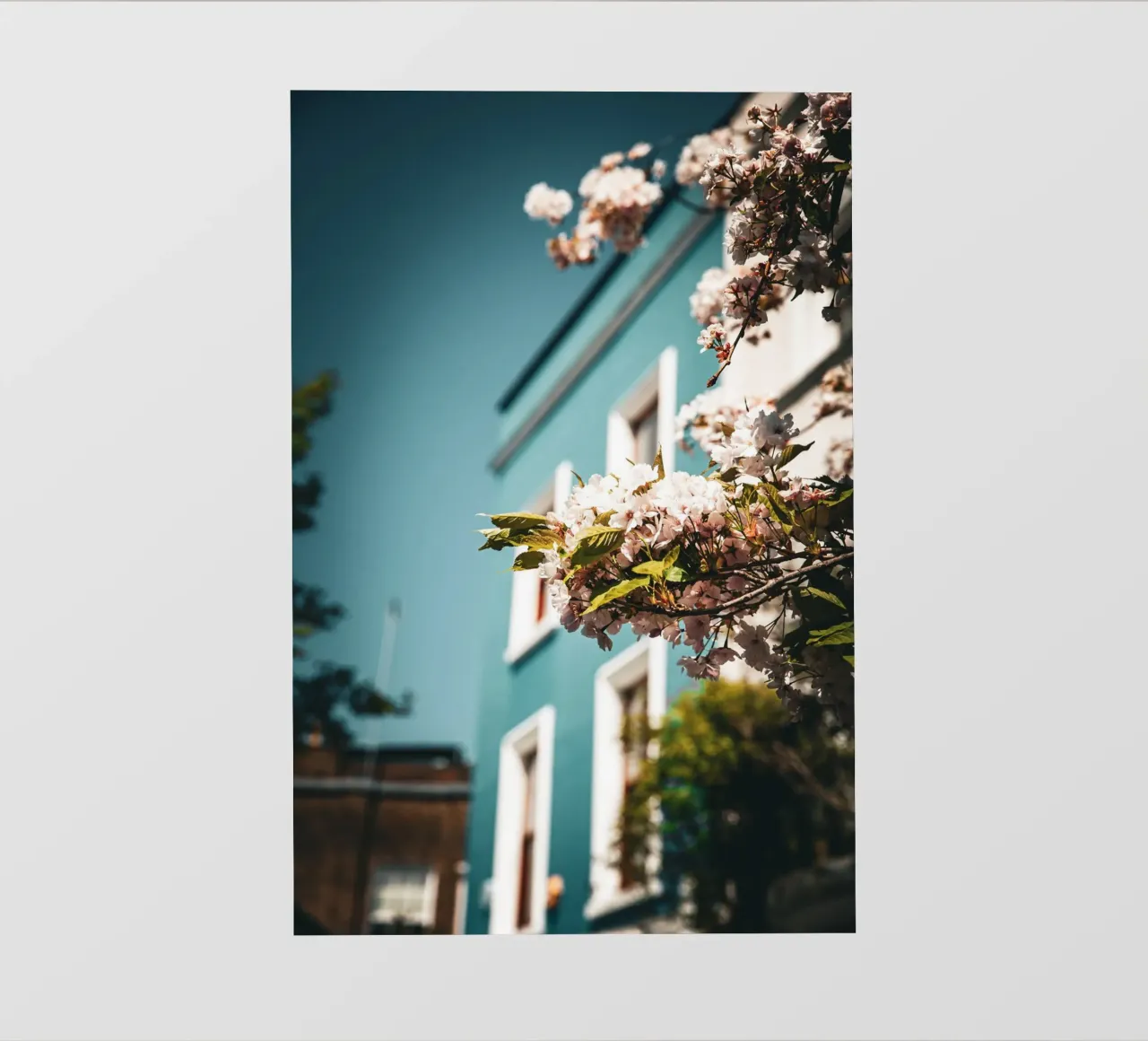 Notting Hill pellicola backlit da Jonas Klein