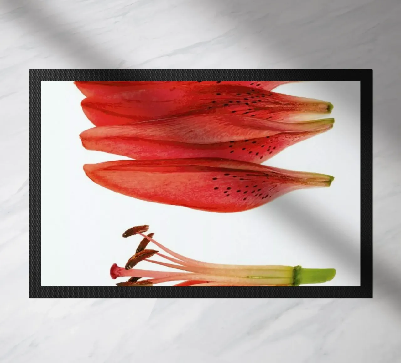 Lilly zerbino da Curious Collections by Marielle Leenders