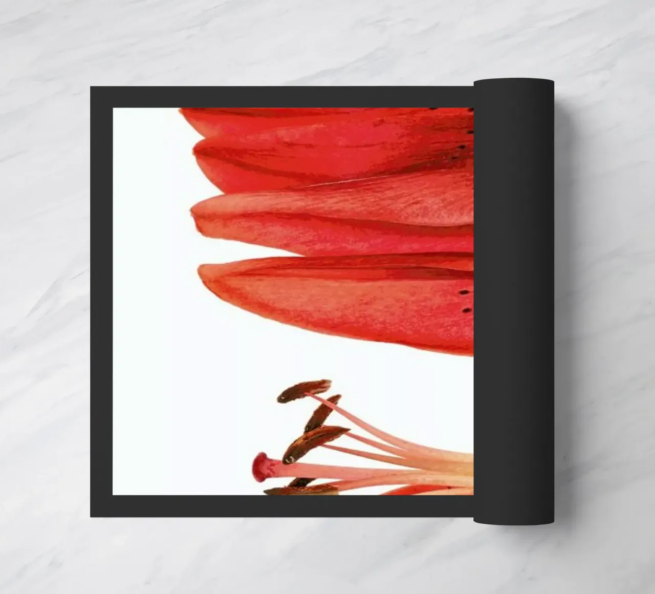 Lilly zerbino da Curious Collections by Marielle Leenders