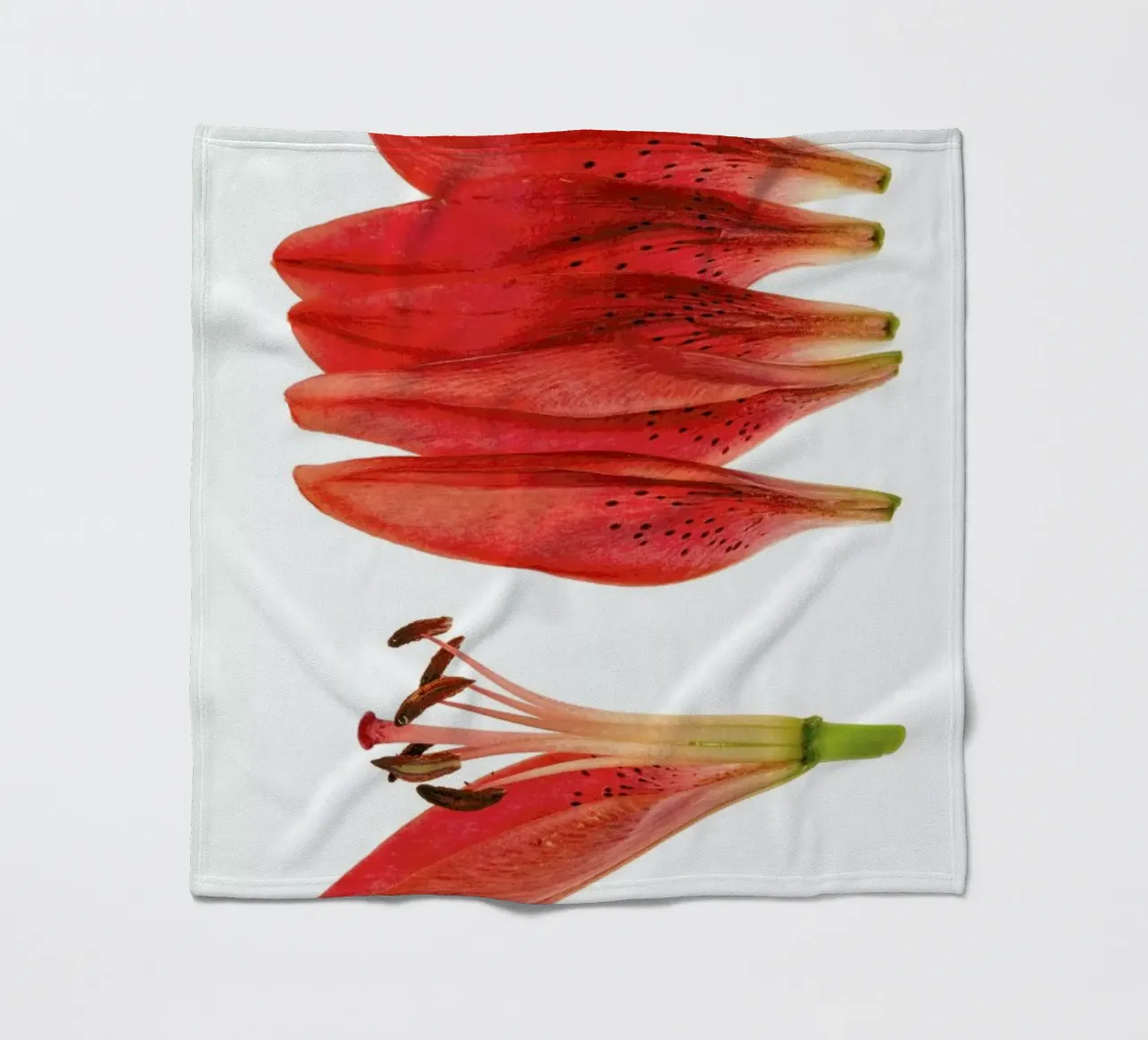 Lilly fleece blanket by Curious Collections by Marielle Leenders