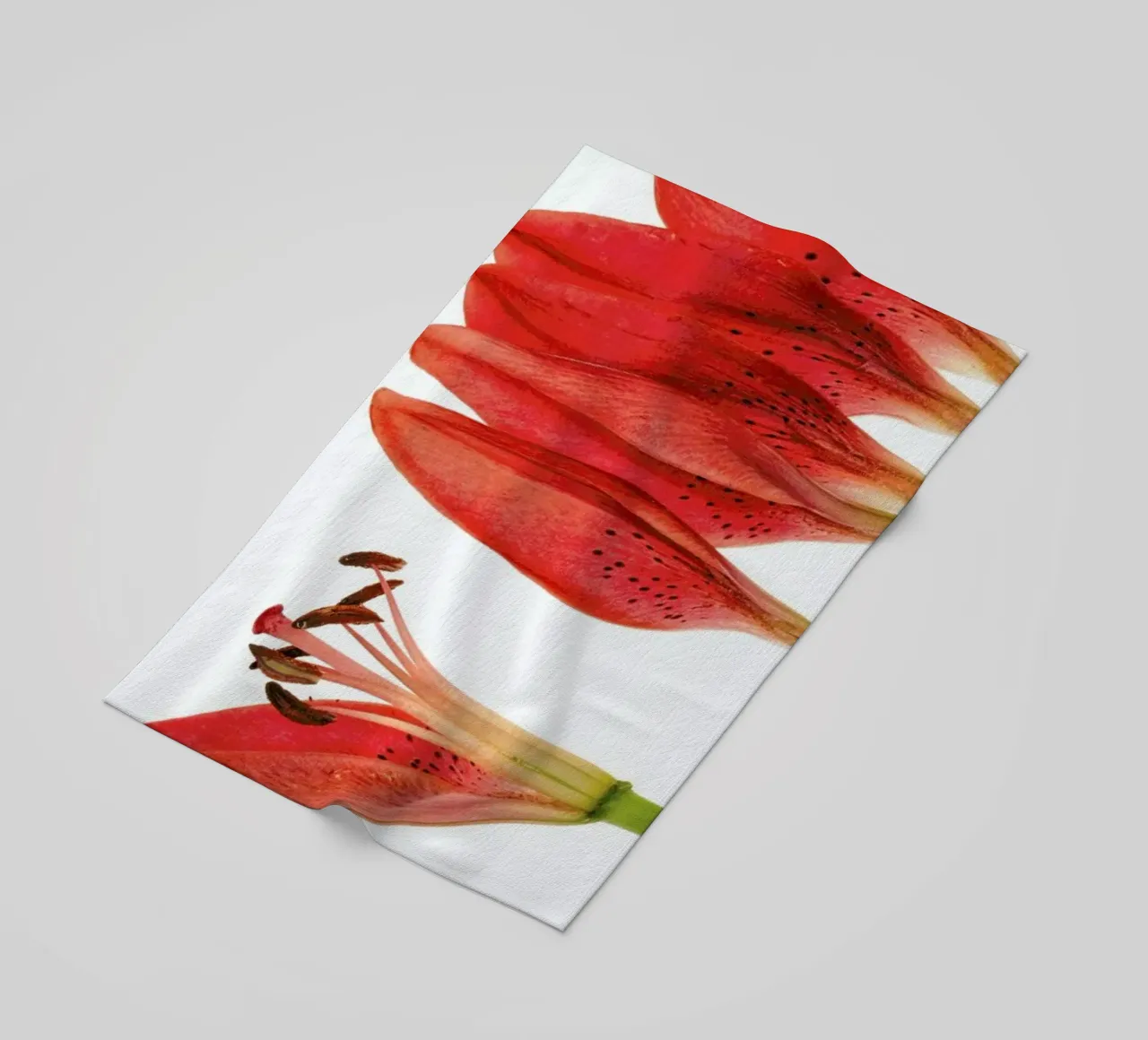 Lilly telo mare da Curious Collections by Marielle Leenders