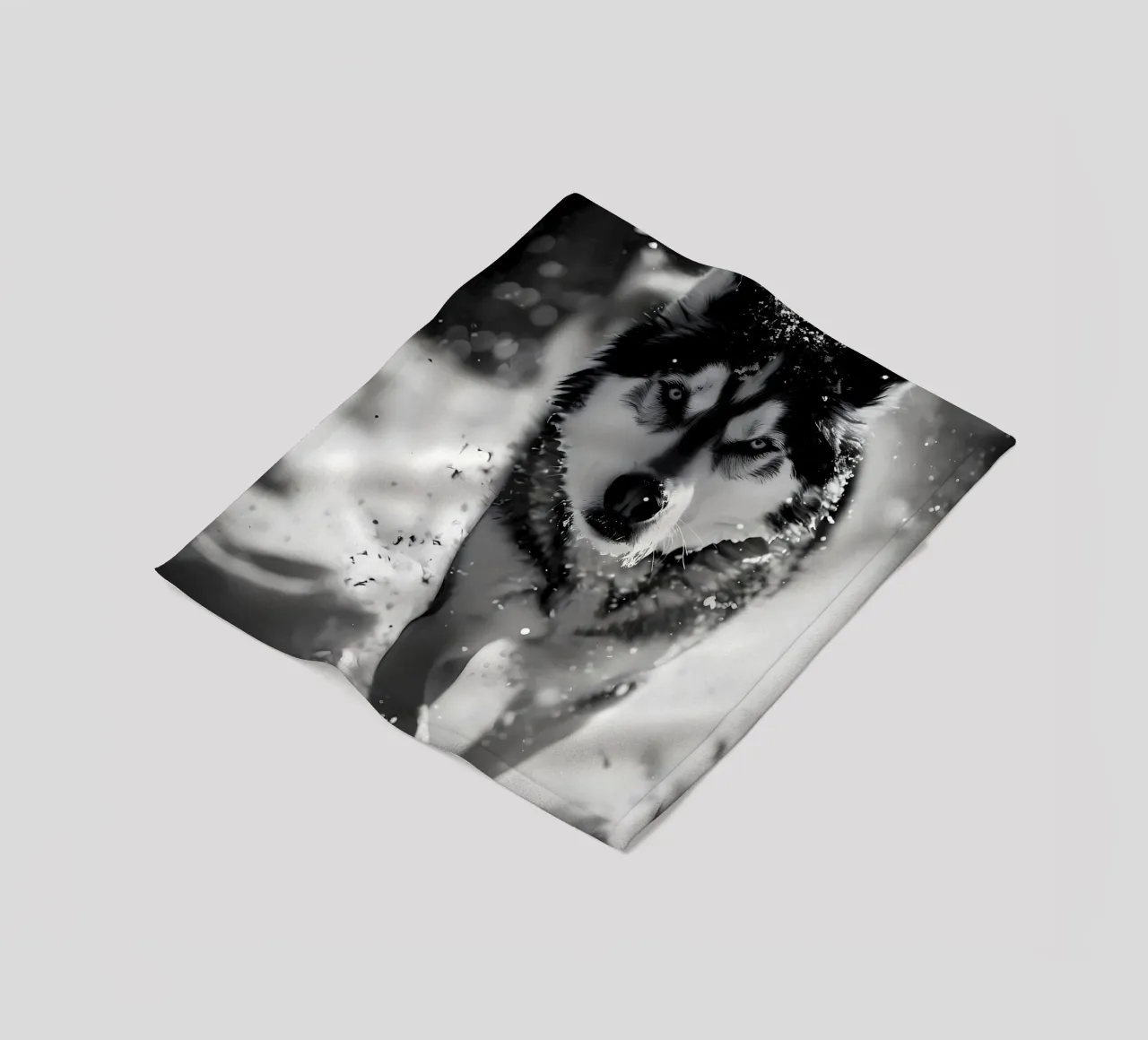 Animale lupo coperta in pile da Pierre Walton