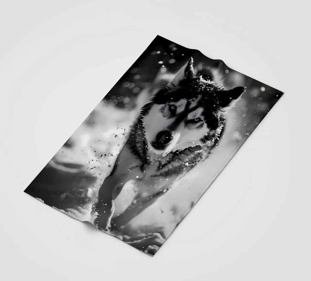 Animale lupo coperta in pile da Pierre Walton