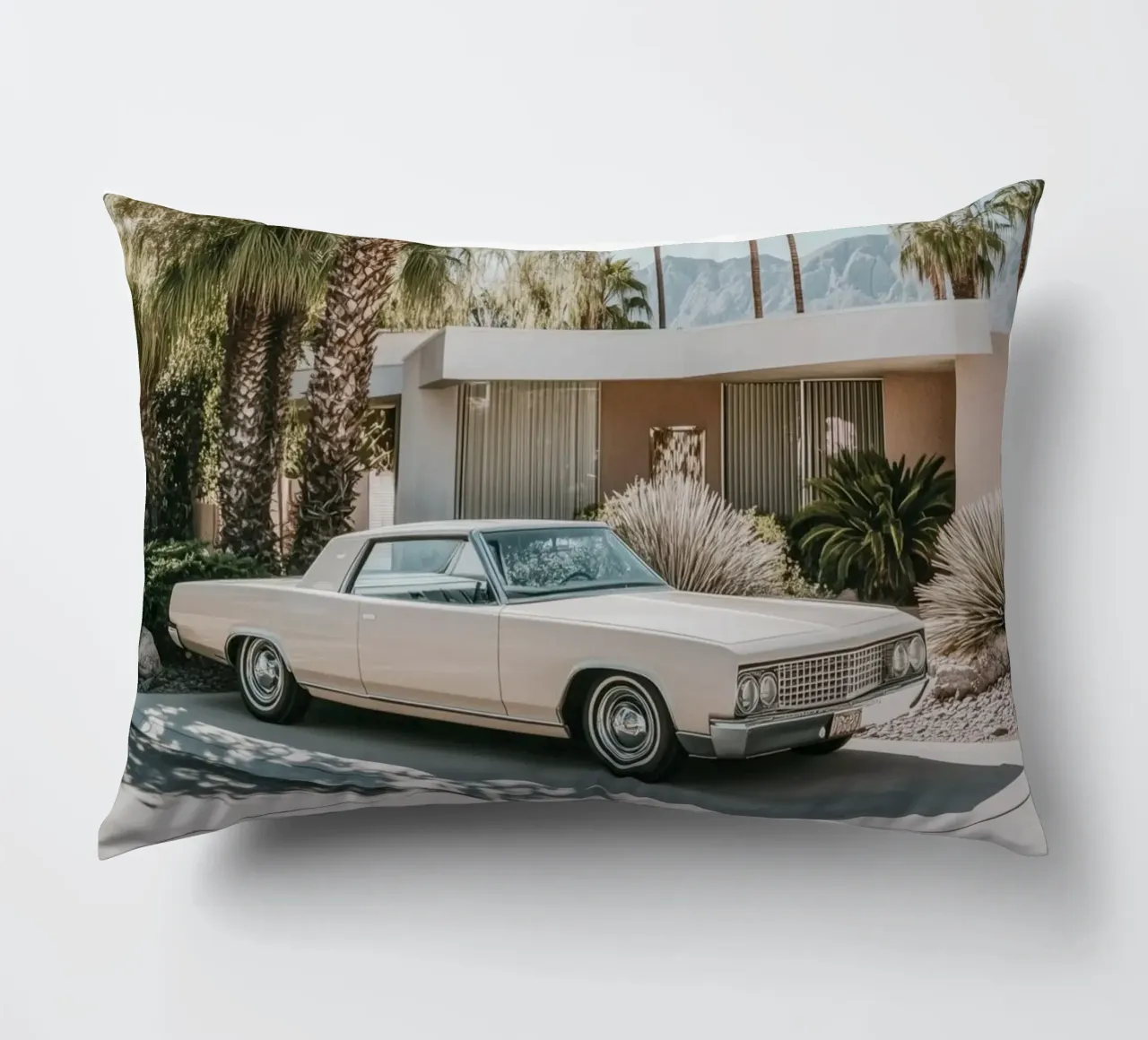 Palm Springs nostalgic architecture decorative cushion by Carinaprint