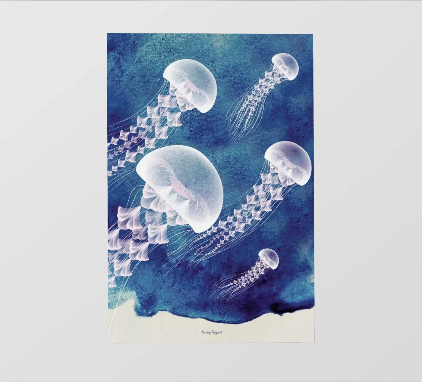 Jellyfish pellicola backlit da Mie Frey Damgaard