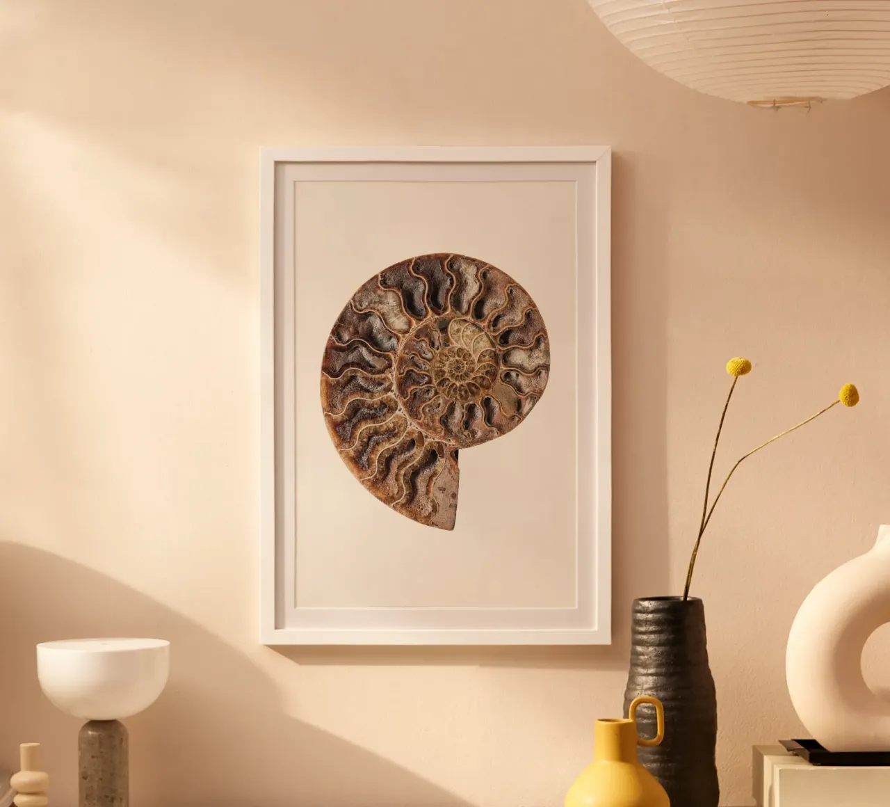 Ancient Elegance: Fossilized Nautilus Shell Cross-Section Po poster by Curious Collections by Marielle Leenders