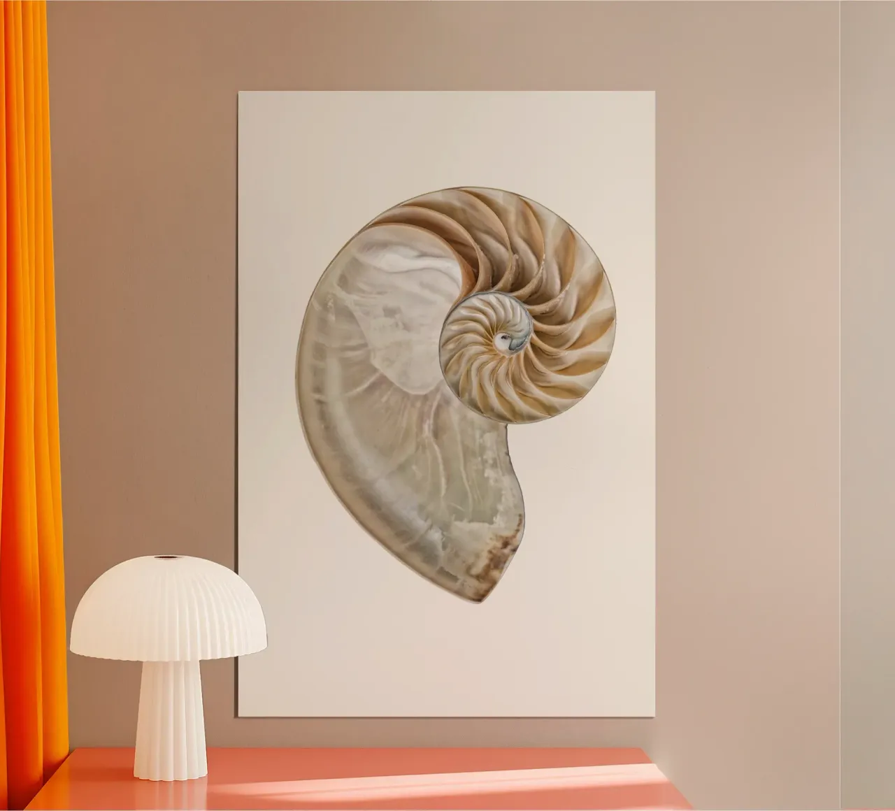 Natural Perfection: Cross-Section Nautilus Shell Poster hahnemühle by Curious Collections by Marielle Leenders