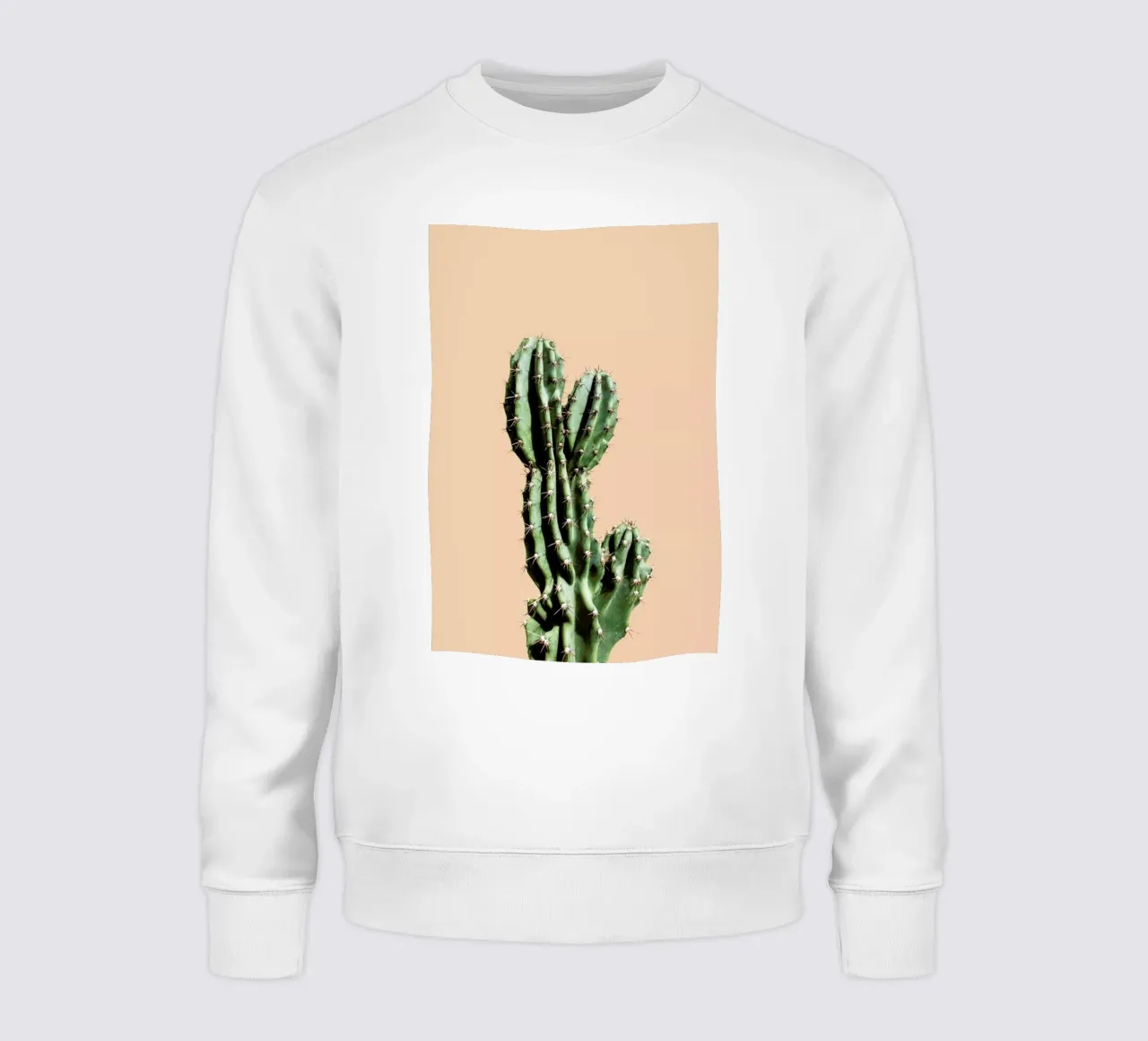 Cactus 01 felpa da Marc Schulthess