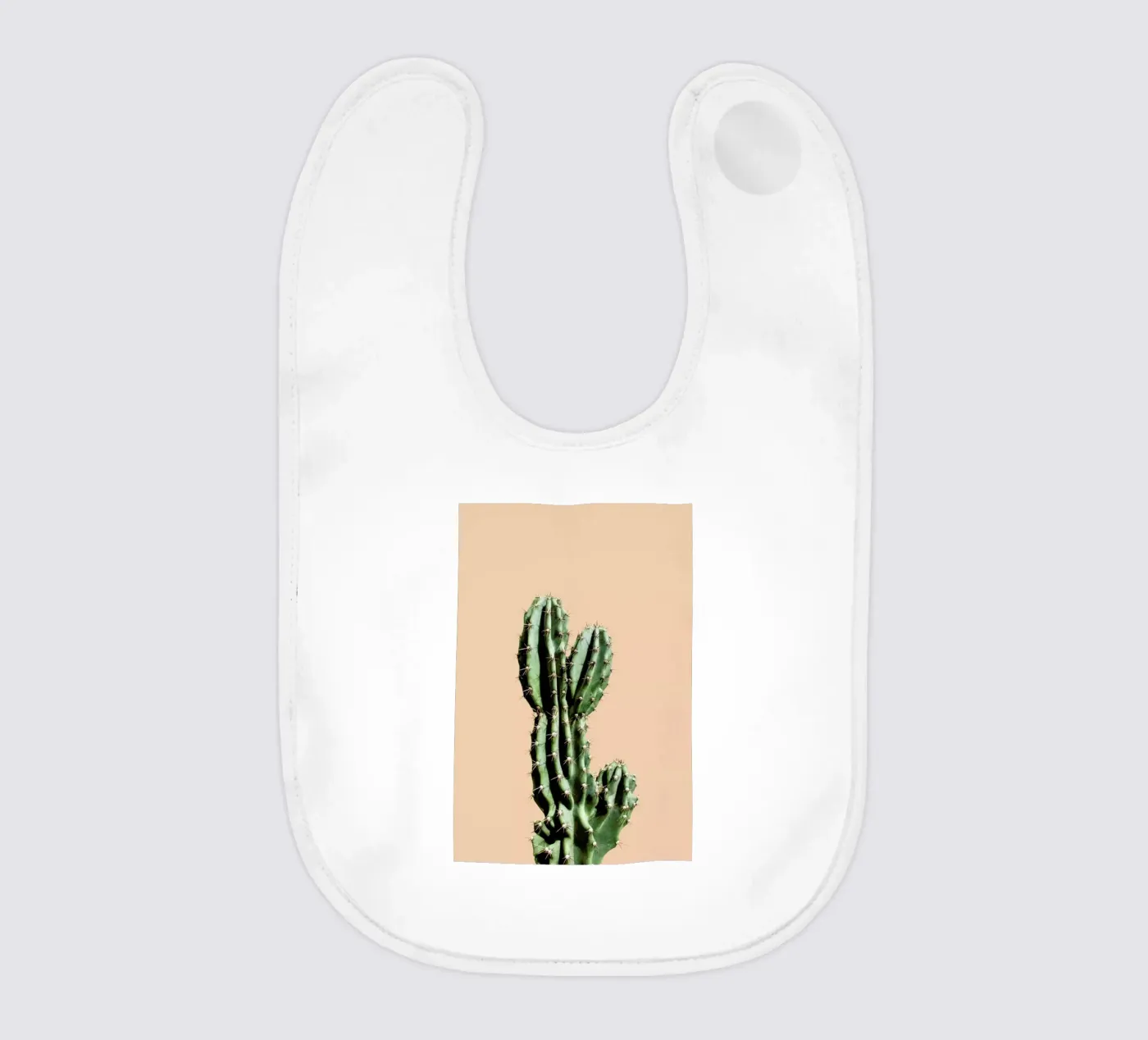 Cactus 01 bavaglino da Marc Schulthess