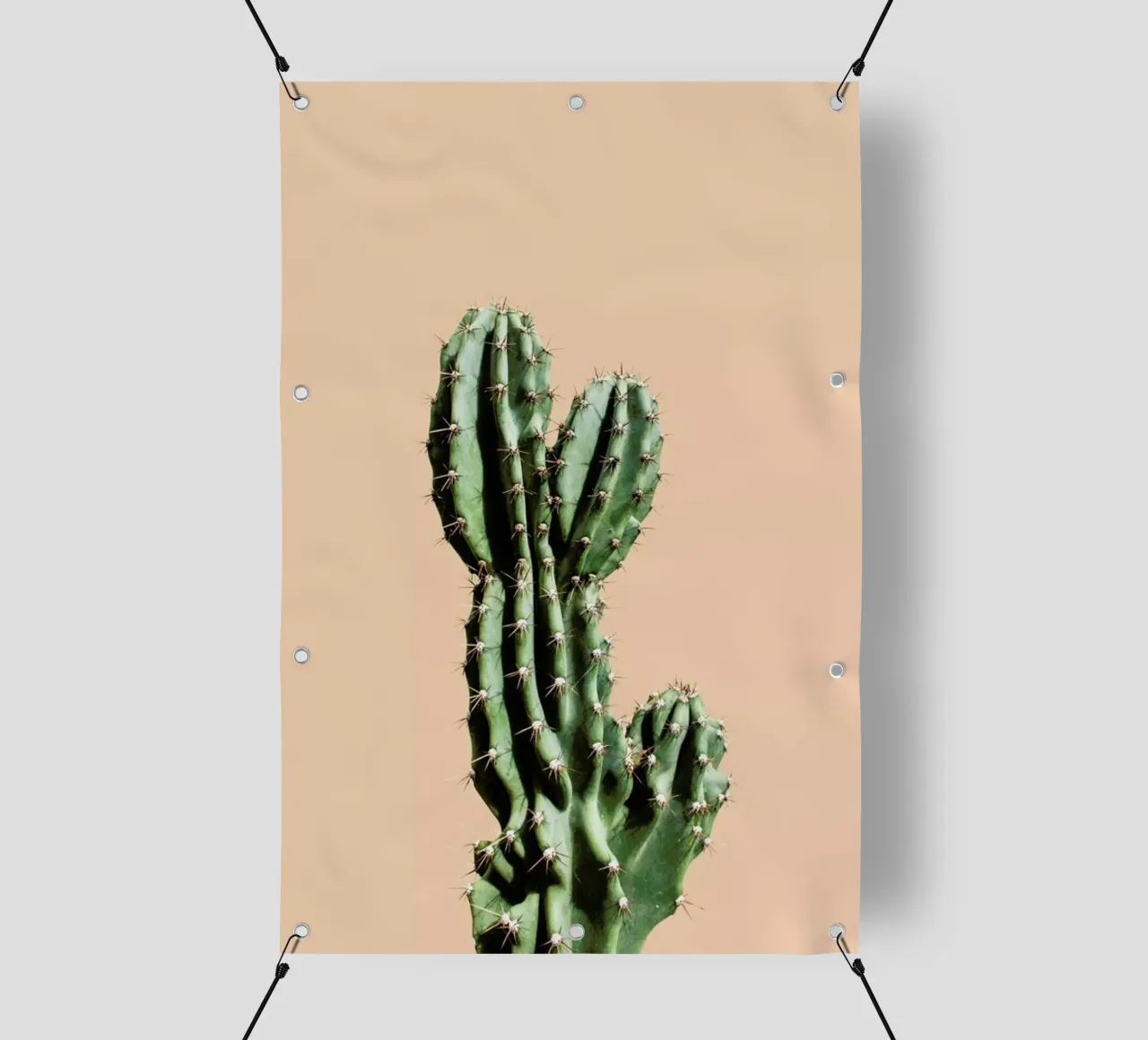 Cactus 01 telo in pvc da Marc Schulthess