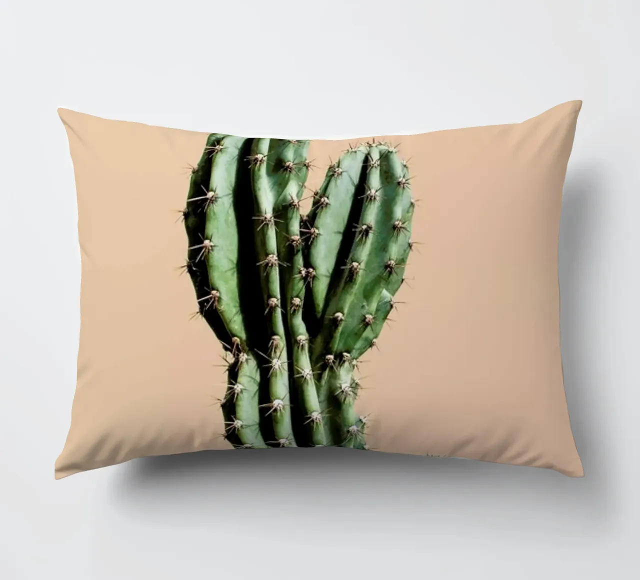 Cactus 01 cuscino da Marc Schulthess