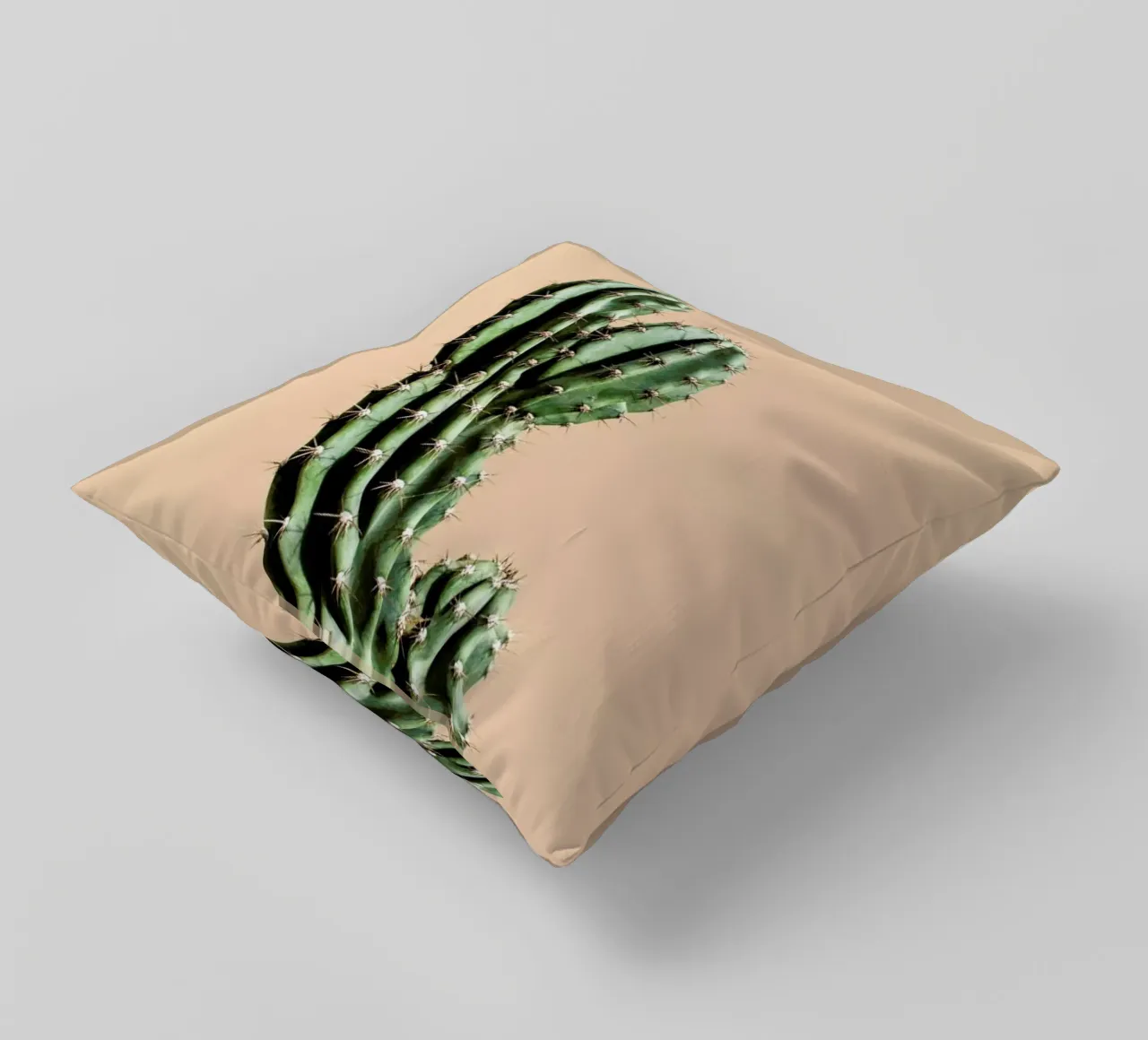 Cactus 01 cuscino da Marc Schulthess