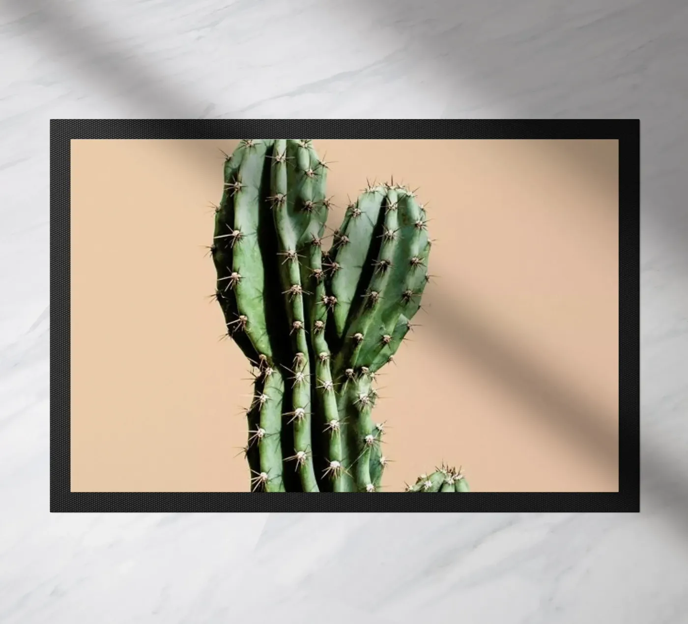 Cactus 01 deurmat van Marc Schulthess