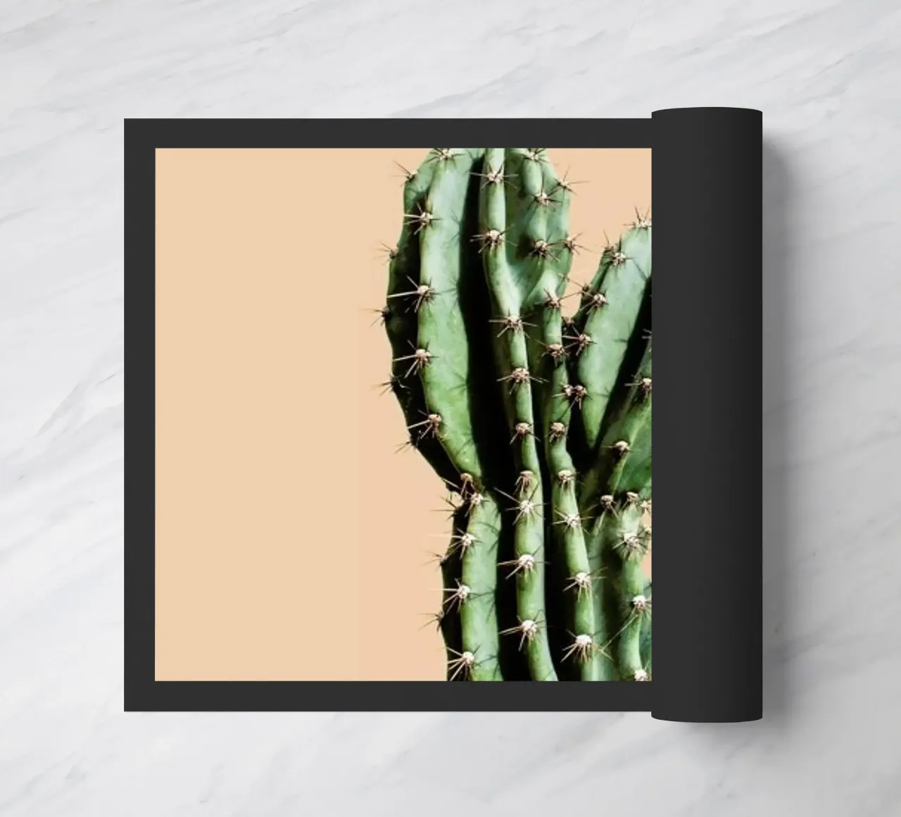 Cactus 01 zerbino da Marc Schulthess