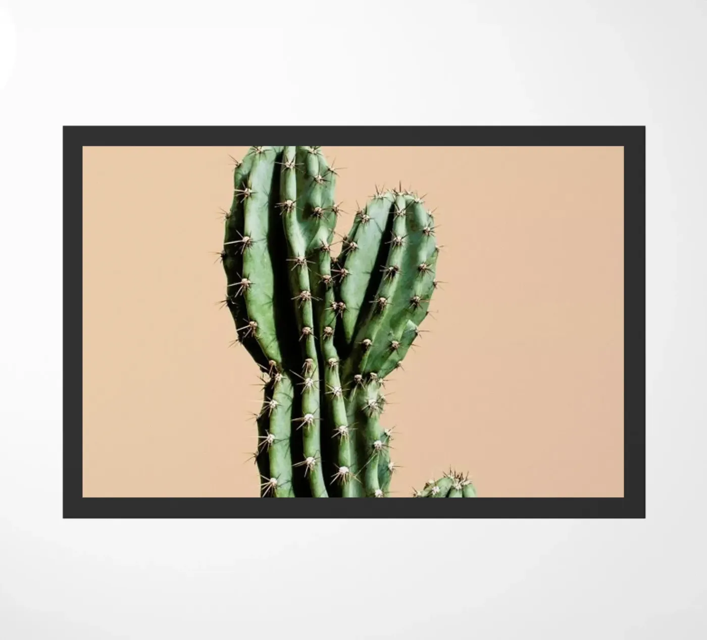 Cactus 01 deurmat van Marc Schulthess