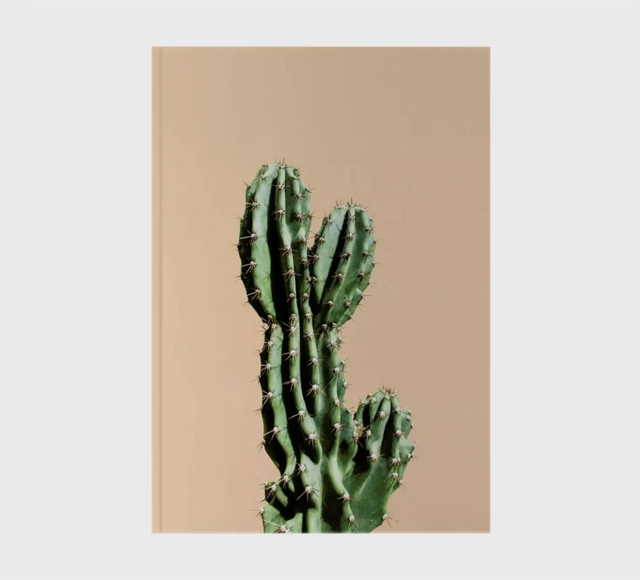 Cactus 01 notebook by Marc Schulthess