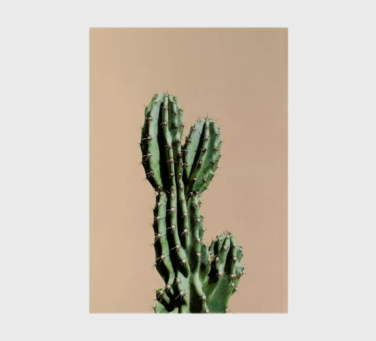 Cactus 01 notebook by Marc Schulthess