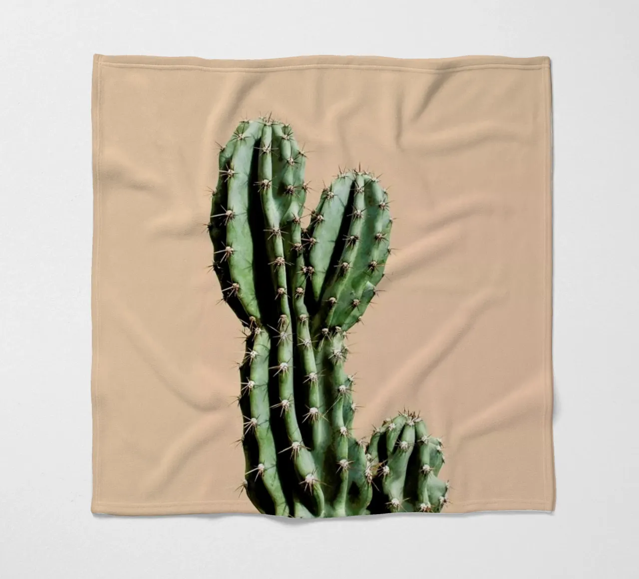 Cactus 01 coperta in pile da Marc Schulthess