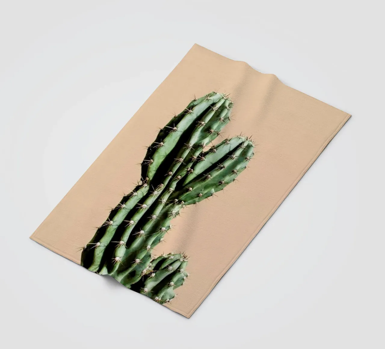 Cactus 01 coperta in pile da Marc Schulthess