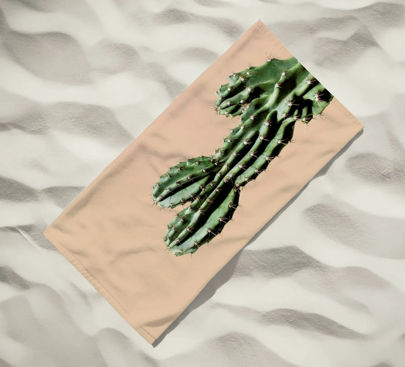 Cactus 01 telo mare da Marc Schulthess