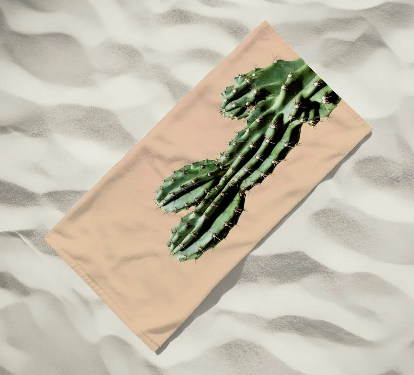 Cactus 01 telo mare da Marc Schulthess