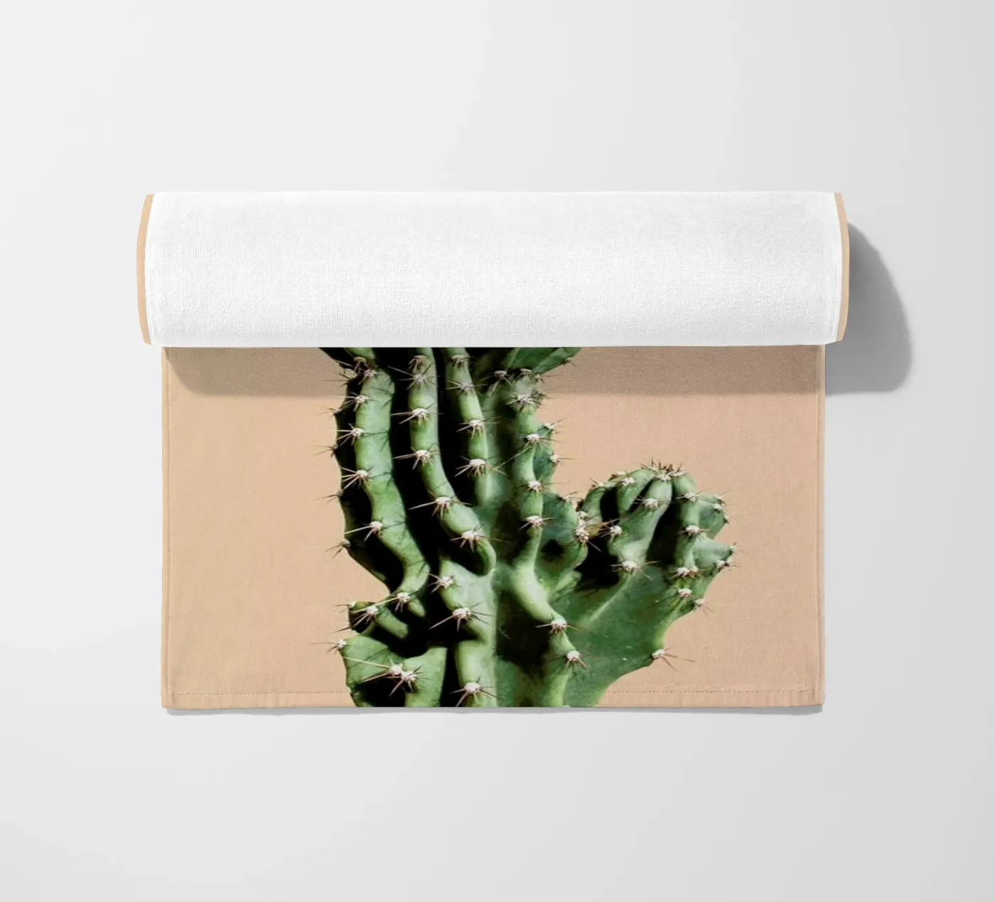 Cactus 01 telo mare da Marc Schulthess