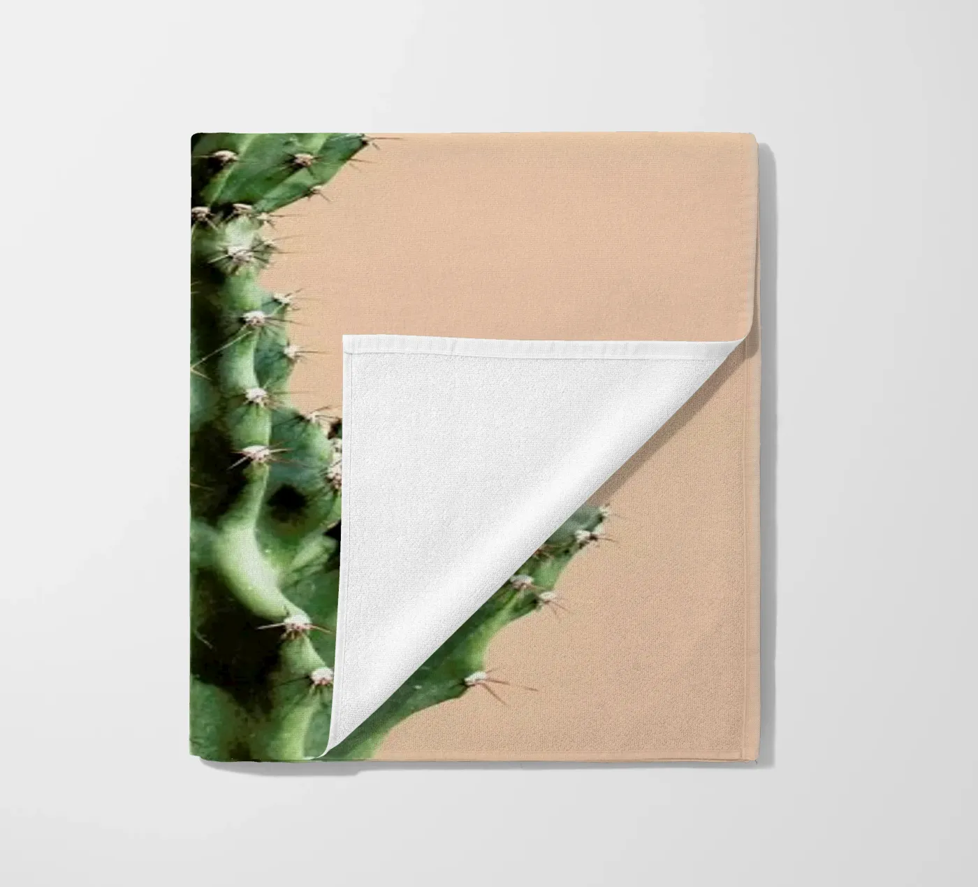 Cactus 01 telo mare da Marc Schulthess