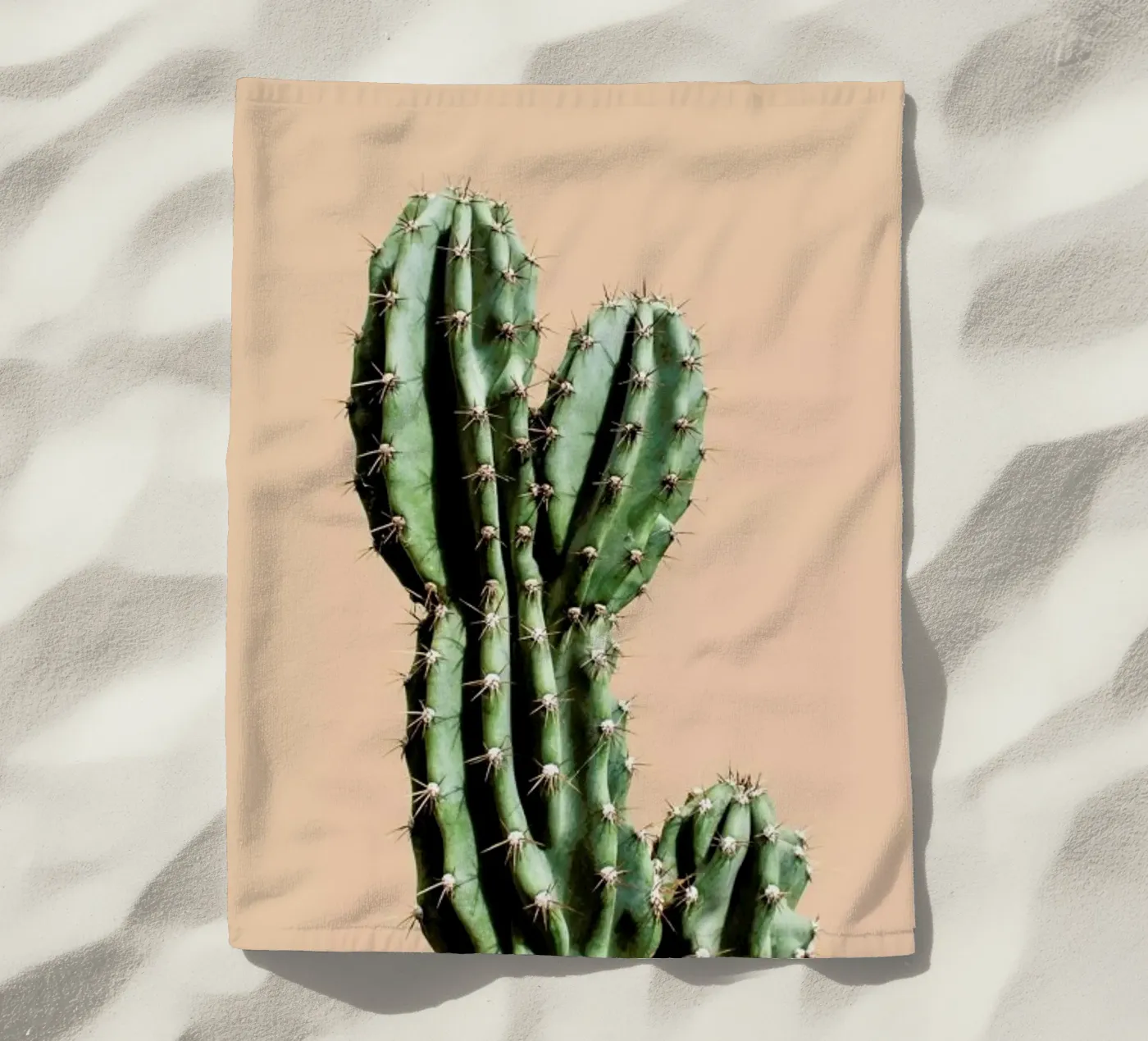 Cactus 01 telo mare da Marc Schulthess