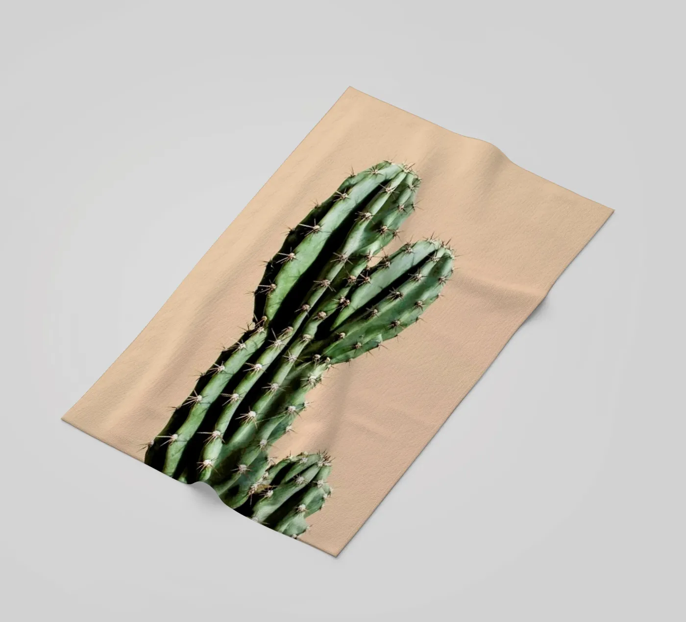 Cactus 01 telo mare da Marc Schulthess