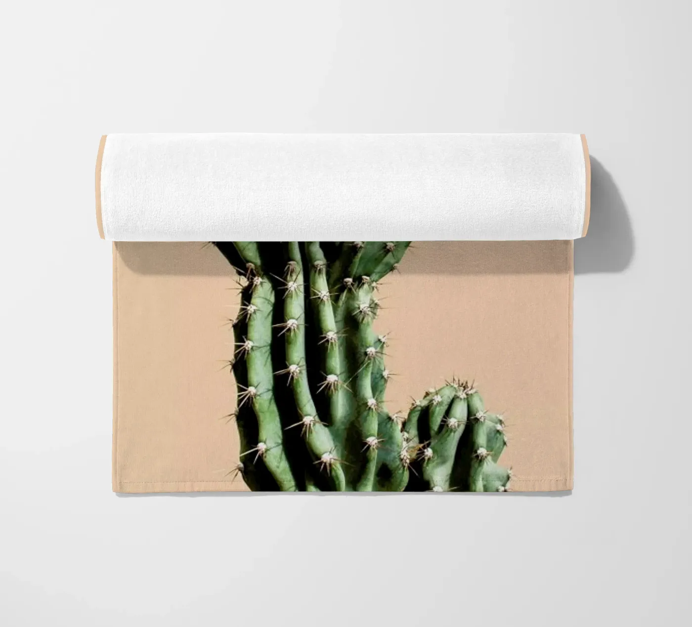 Cactus 01 telo mare da Marc Schulthess