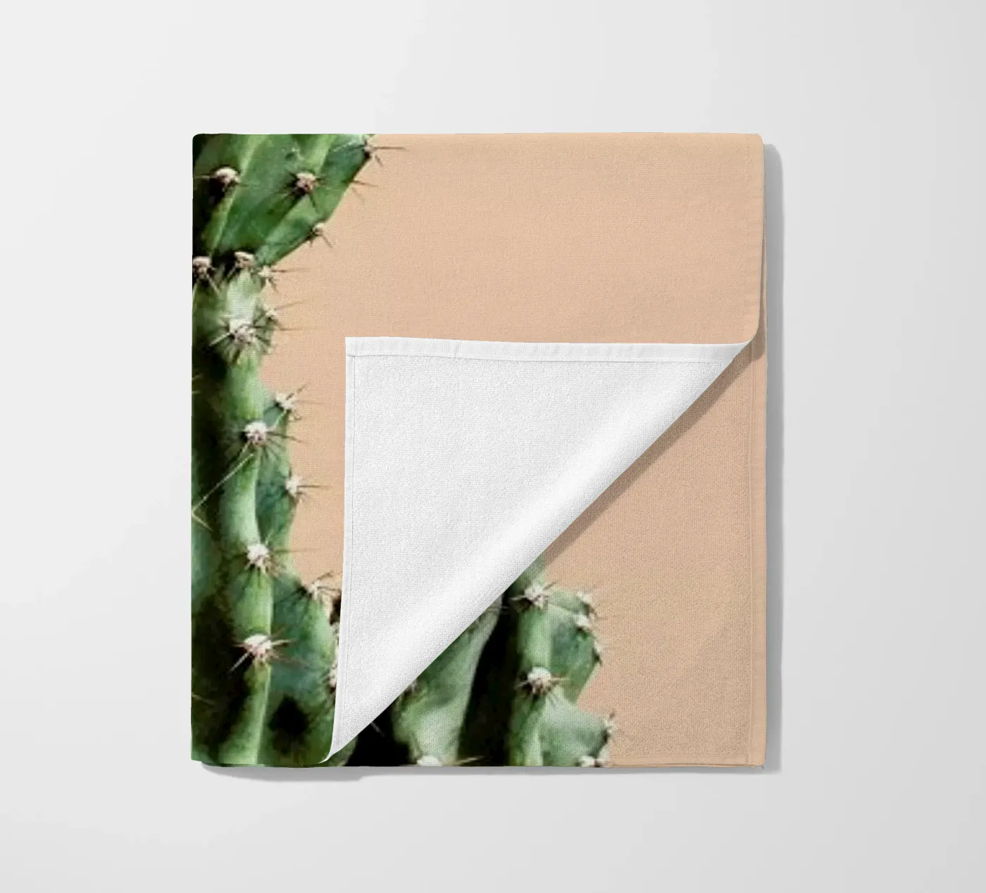 Cactus 01 telo mare da Marc Schulthess