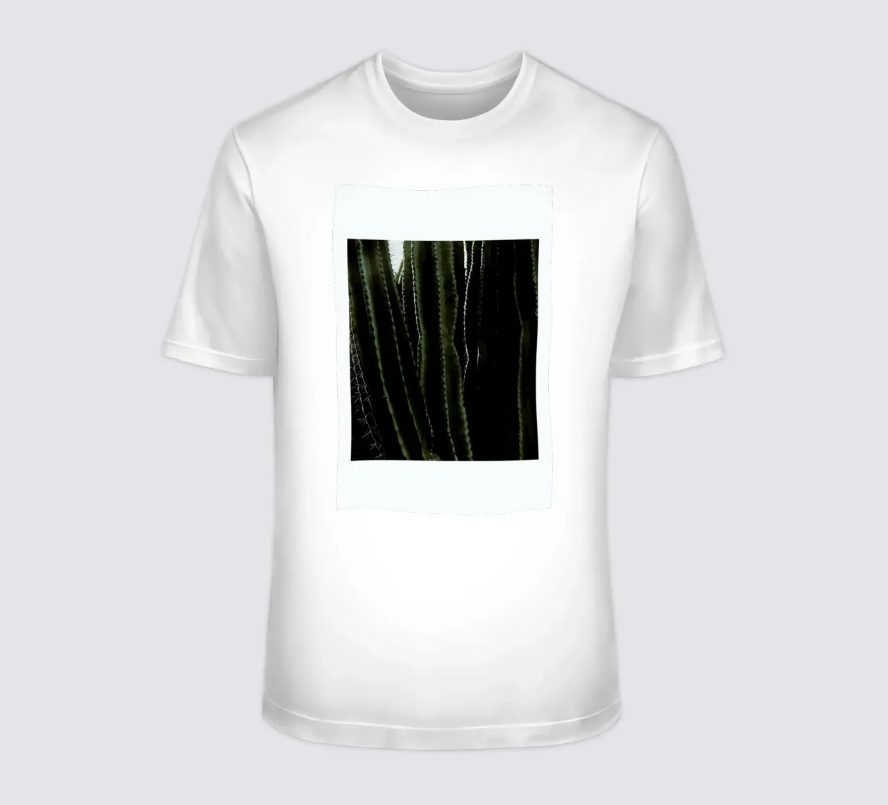 Cactus 01 t-shirt da Laura Palm